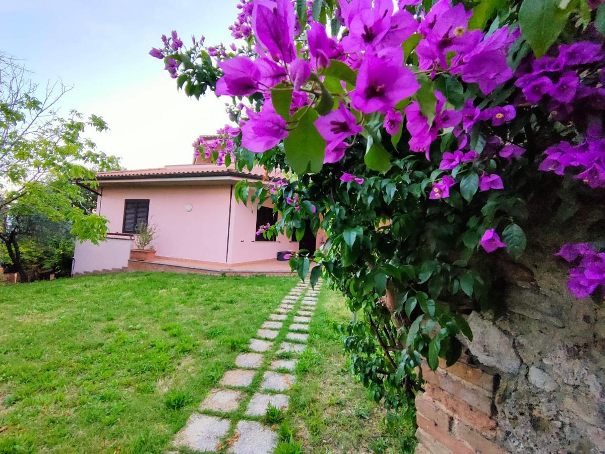 Bella Vista - Belvedere Montebuono  Exterior foto